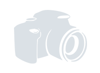 Амуниция для собак